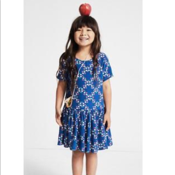 Gymboree Other - GYMBOREE Dress Size 12